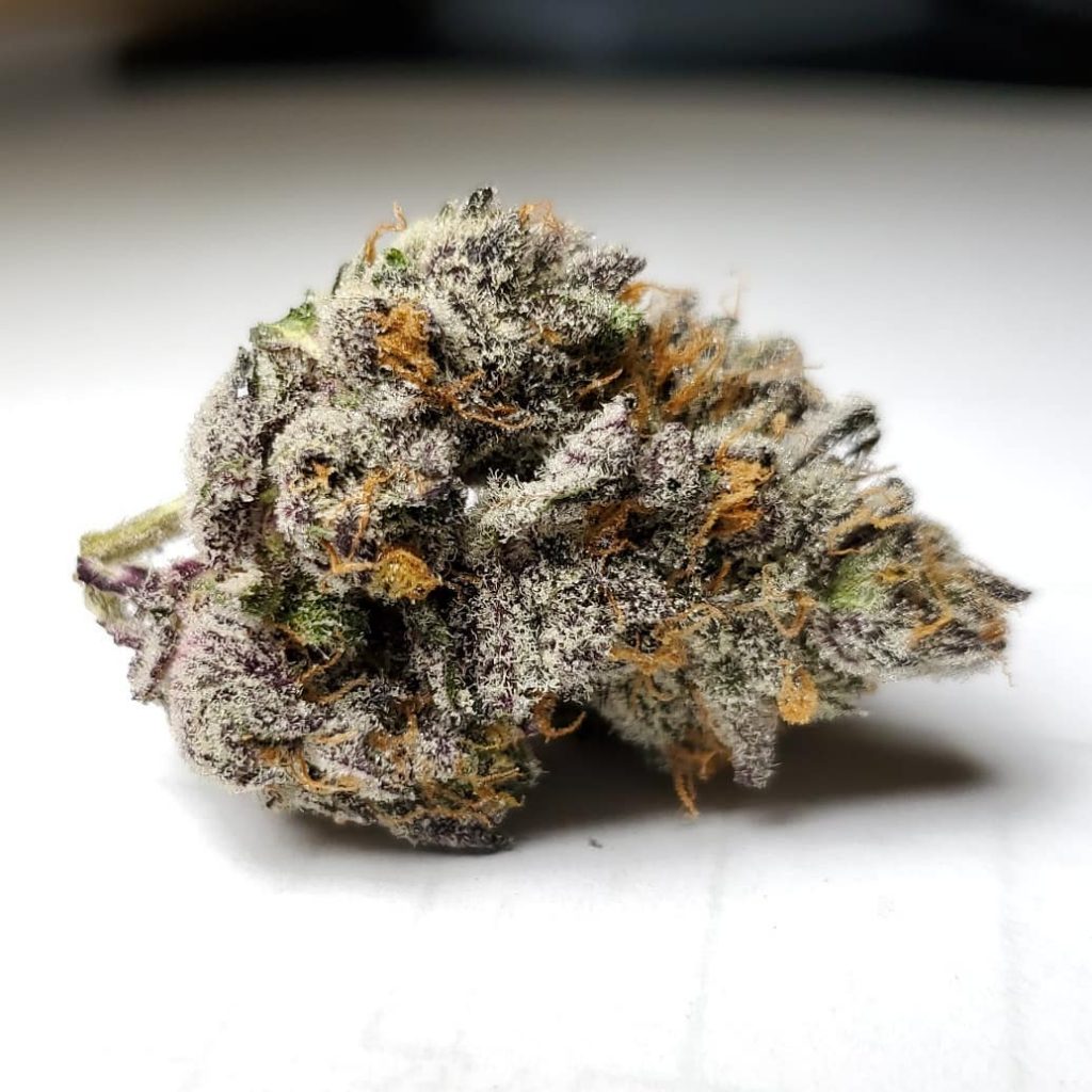 Apple Fritter from Fresh Baked - West Coast Weed Reviews