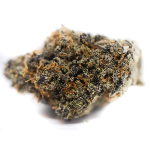 HORCHATA el mejor híbrido" en la copa de Cannabis 🍁 de Michigan 🇺🇸