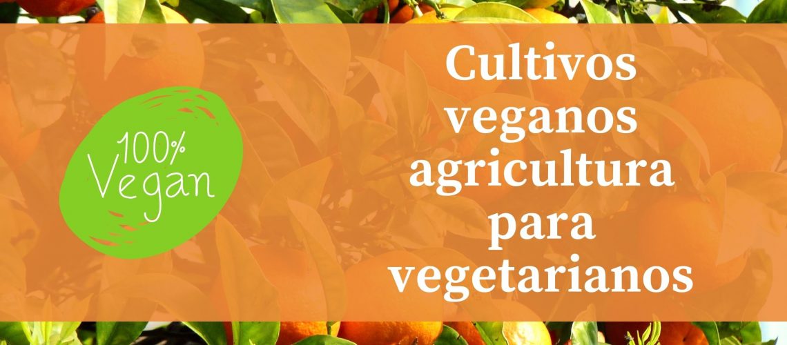 Cultivos veganos agricultura para vegetarianos
